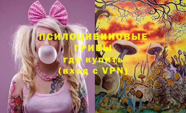 прущие крисы Белокуриха