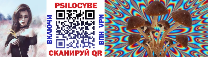 Псилоцибиновые грибы Psilocybe Дмитриев