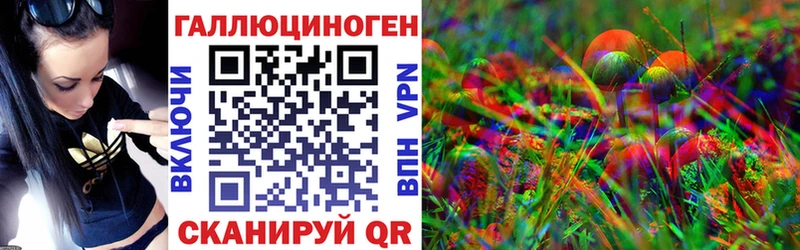Галлюциногенные грибы Psilocybe  Дмитриев 
